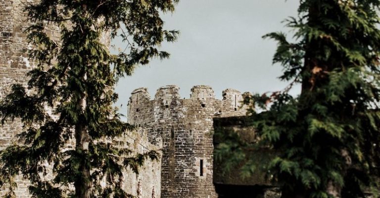 Remote Culture - Exterior of aged stone castle located behind lush green trees under gray gloomy sky